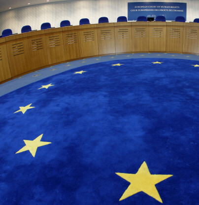 General view of the European Court of Human Rights hearing room in Strasbourg, July 3, 2012. The European Court of Human Rights ruled on Tuesday on the case of former Ukrainian Interior Minister Yuriy Lutsenko against Ukraine. Lutsenko currently detained in Kiev for embezzlement and abuse office, complains his detention were arbitrary and unlawful. REUTERS/Vincent Kessler (FRANCE - Tags: CRIME LAW POLITICS)